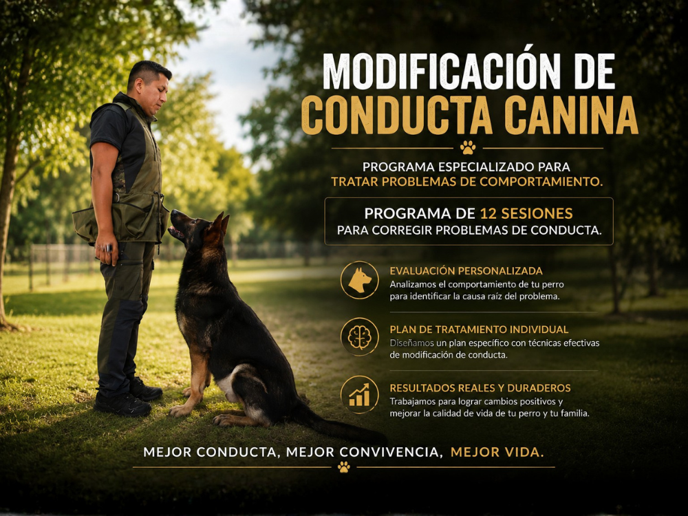 Modificacion de Conducta