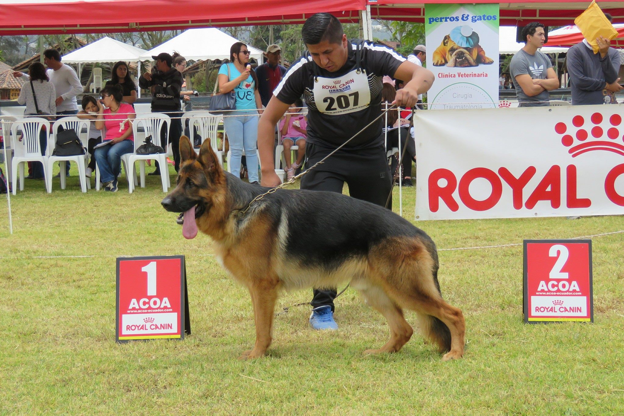 Geovanny Patricio Peralta Criollo - foto 1